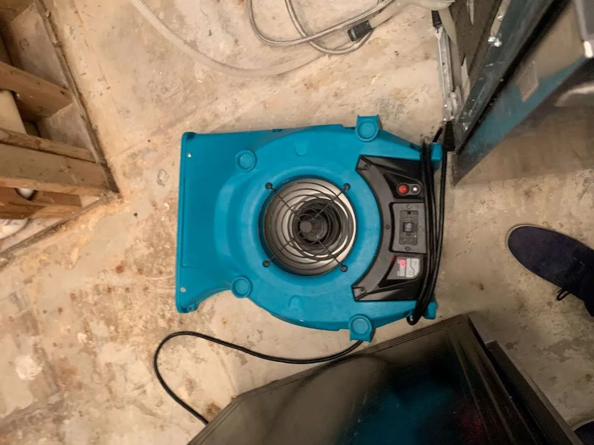 Air mover drying equipment for Mold Remediation & Removal in Ridgefield